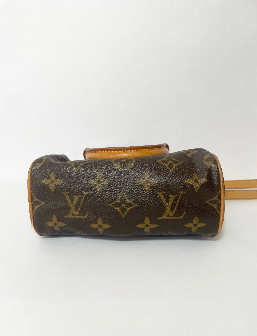 Louis Vuitton Speedy Nano